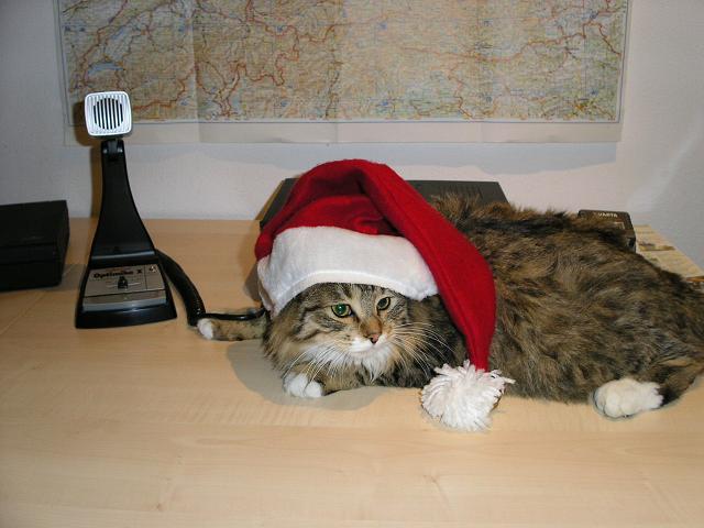 Bild 014.JPG (41 kBytes)